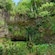 A lava rock cliffside covered in ferns and other foliage, with trickling water falling to a cavern below